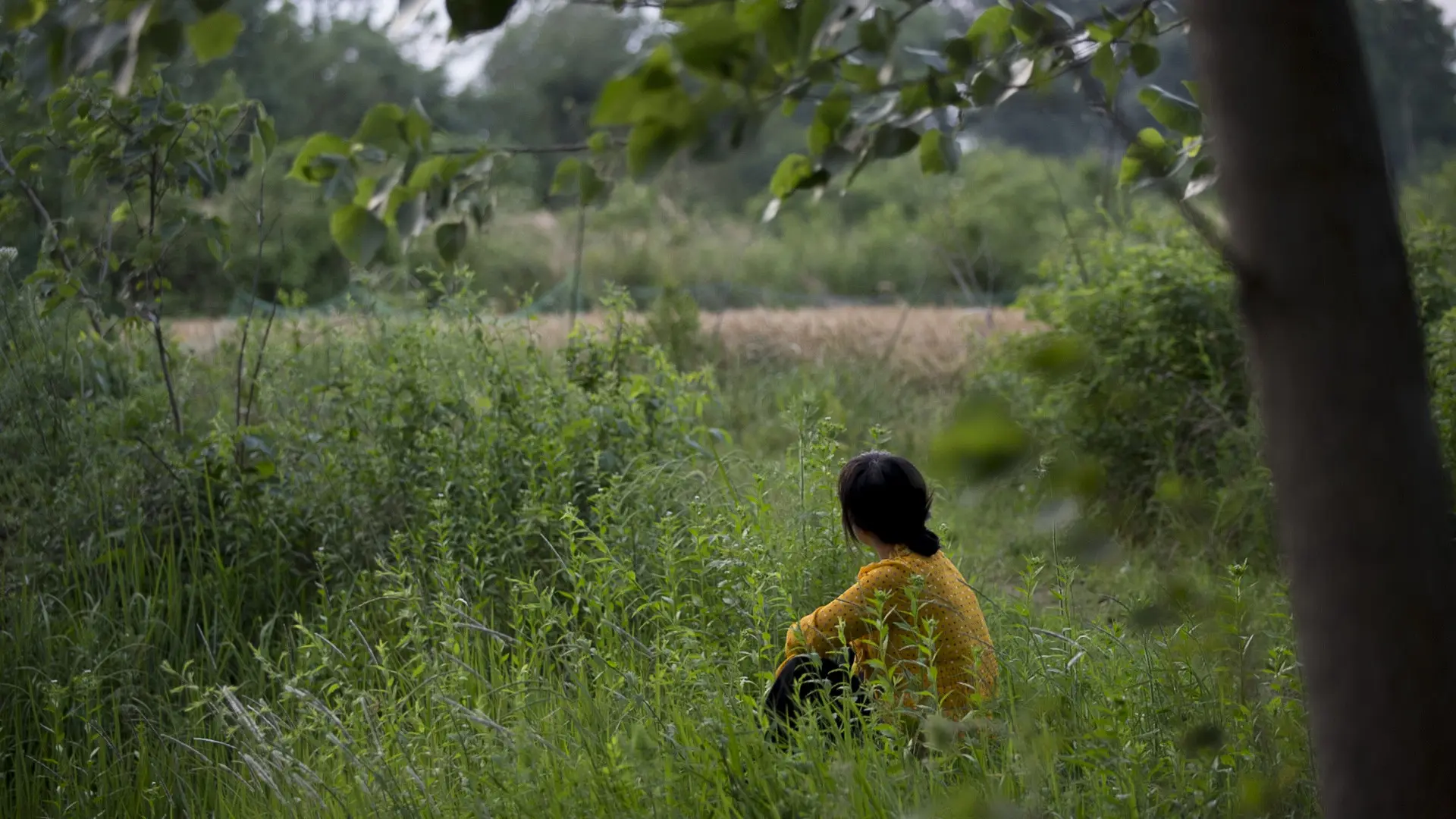 Still Tomorrow backdrop