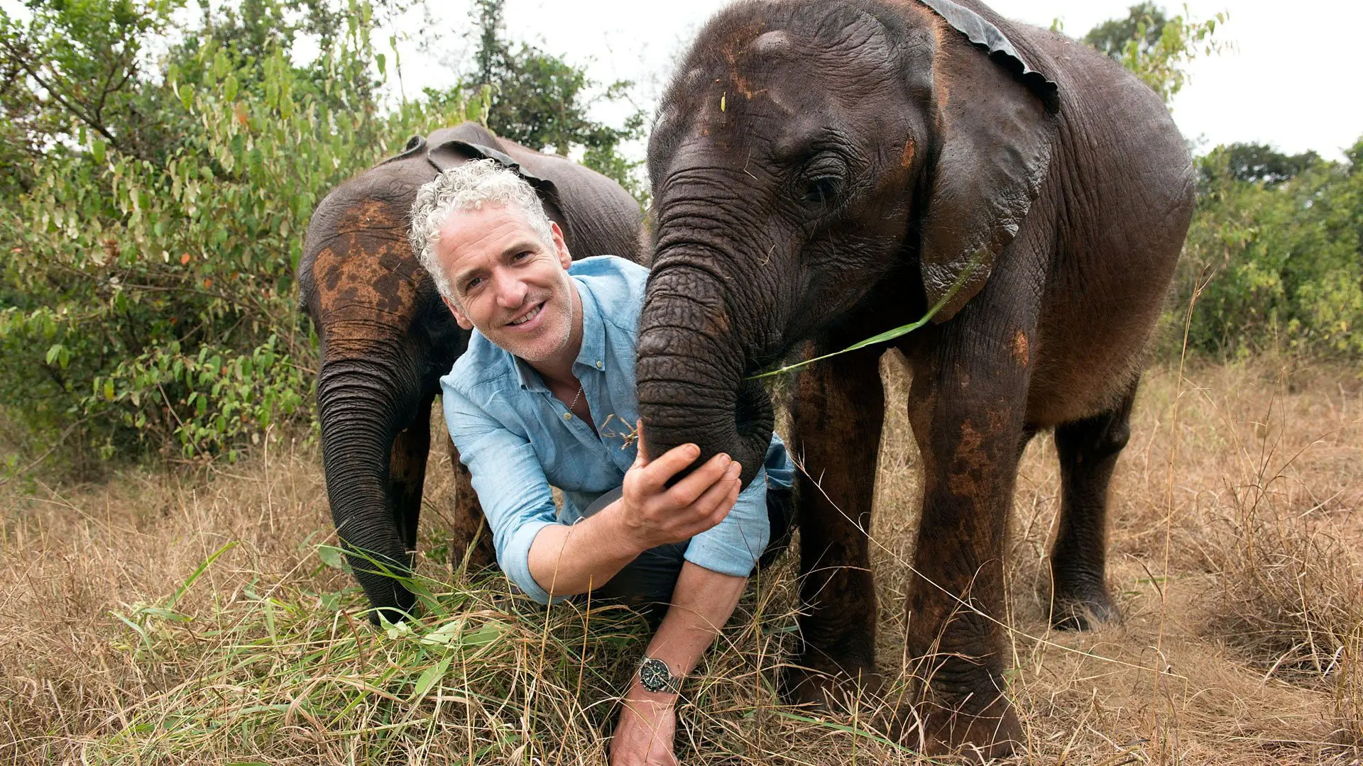 Gordon Buchanan: Elephant Family & Me backdrop