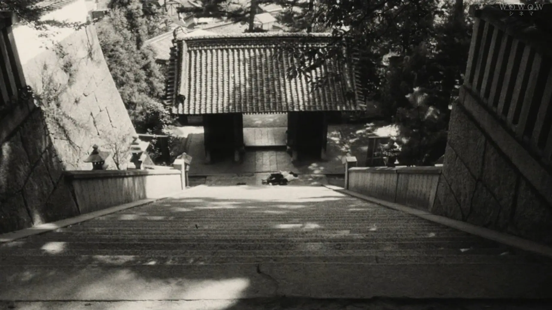 I Are You, You Am Me backdrop