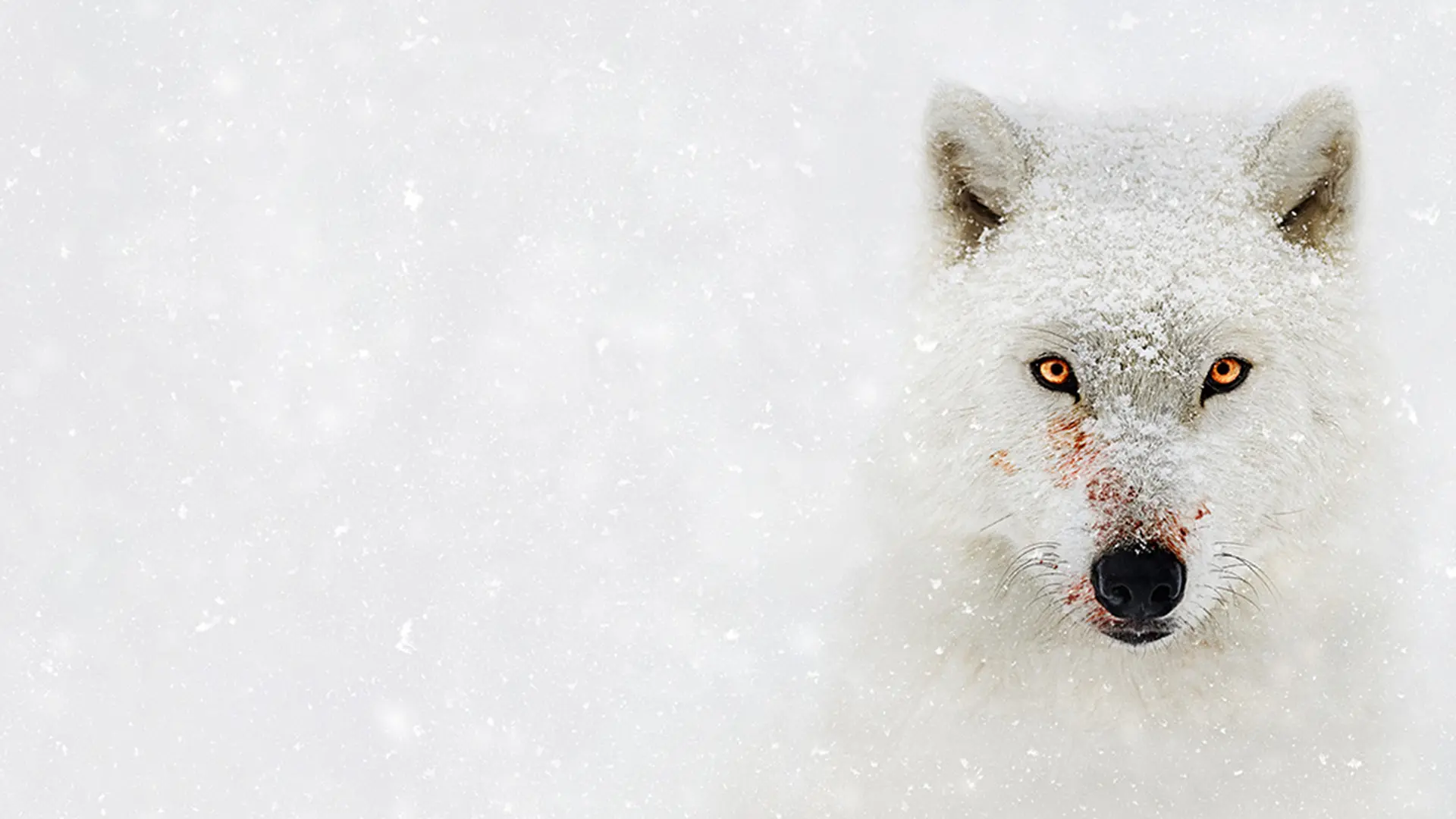 Hostile Planet backdrop