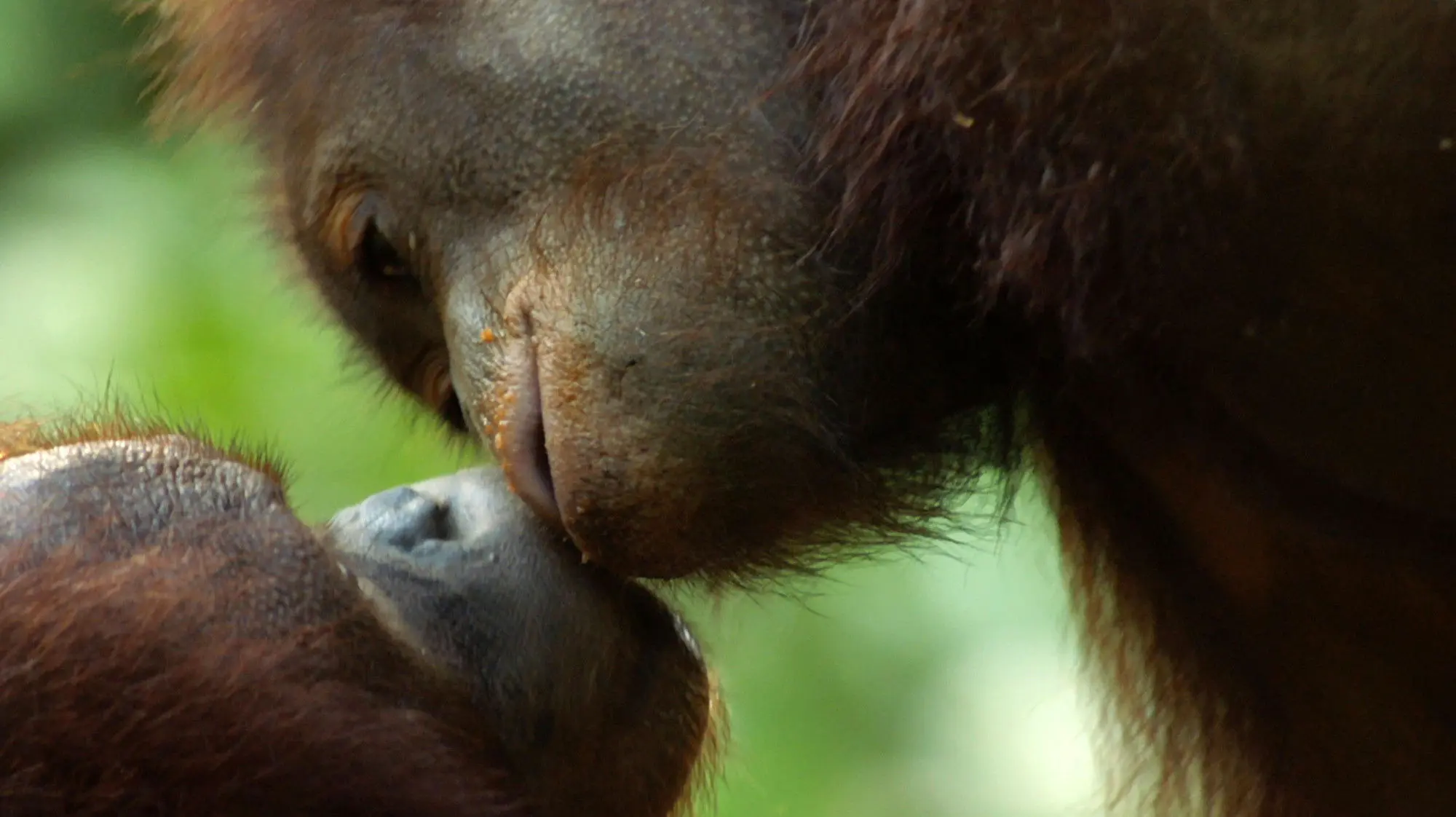 Equator from the Air backdrop