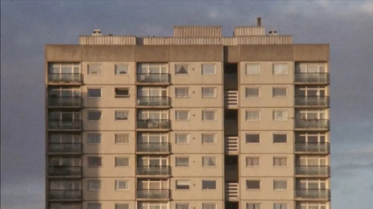 Hackney Marshes – November 4th 1977 backdrop