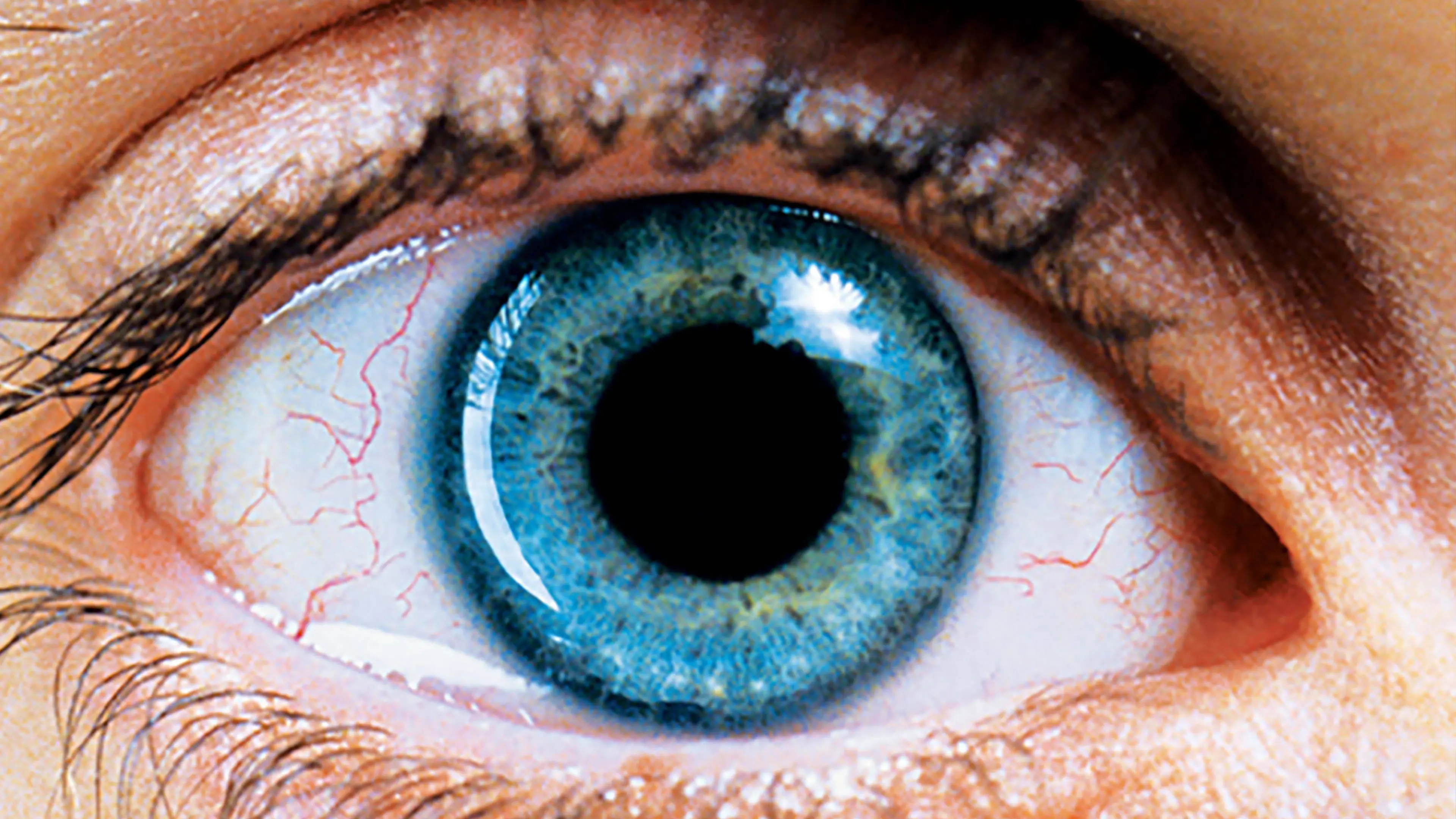 Requiem for a Dream backdrop