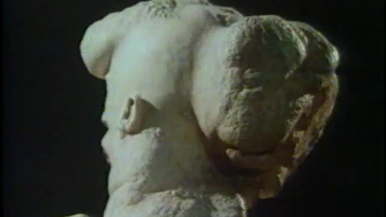 The Skin Horse backdrop