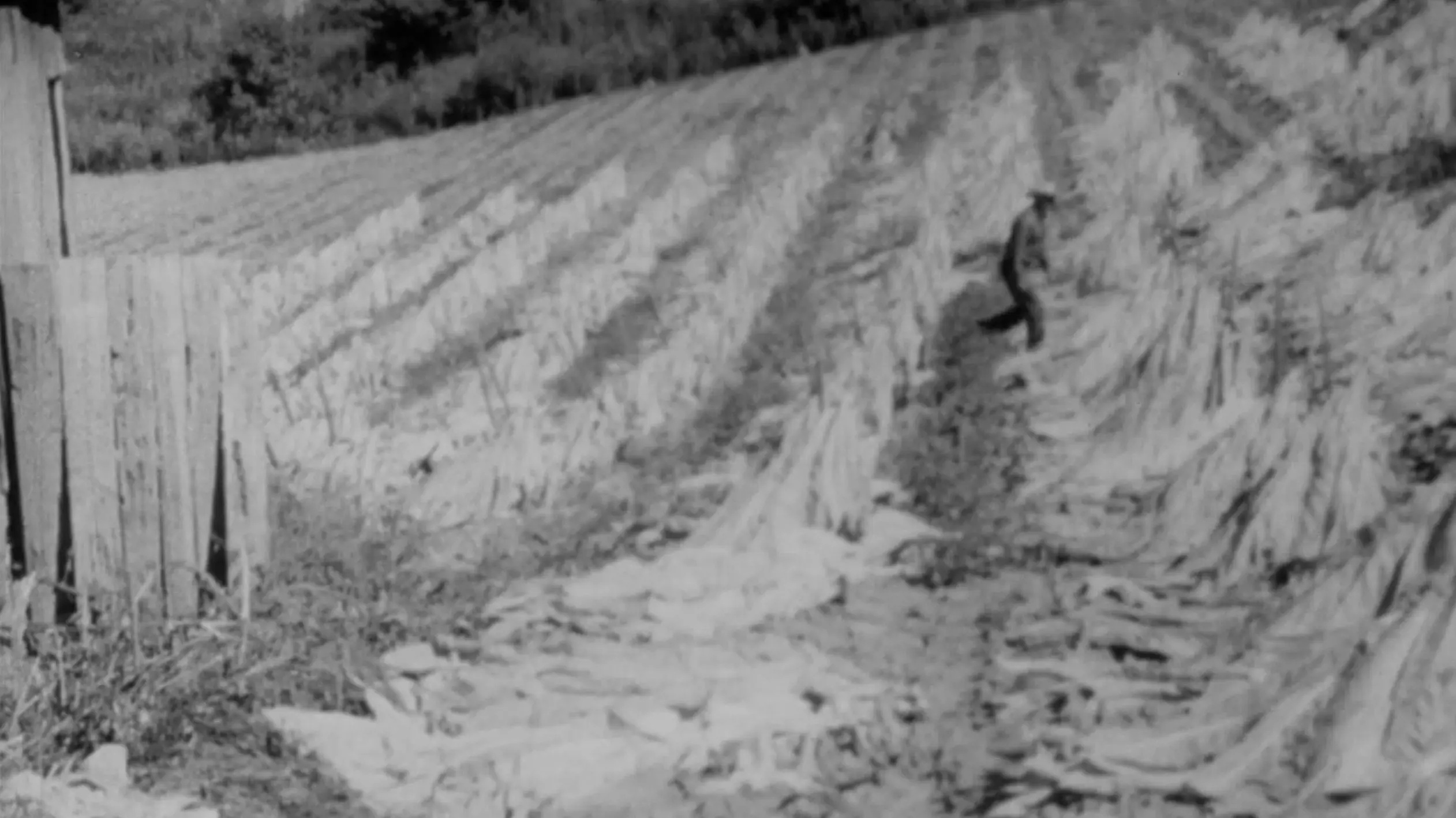 The End of an Old Song backdrop