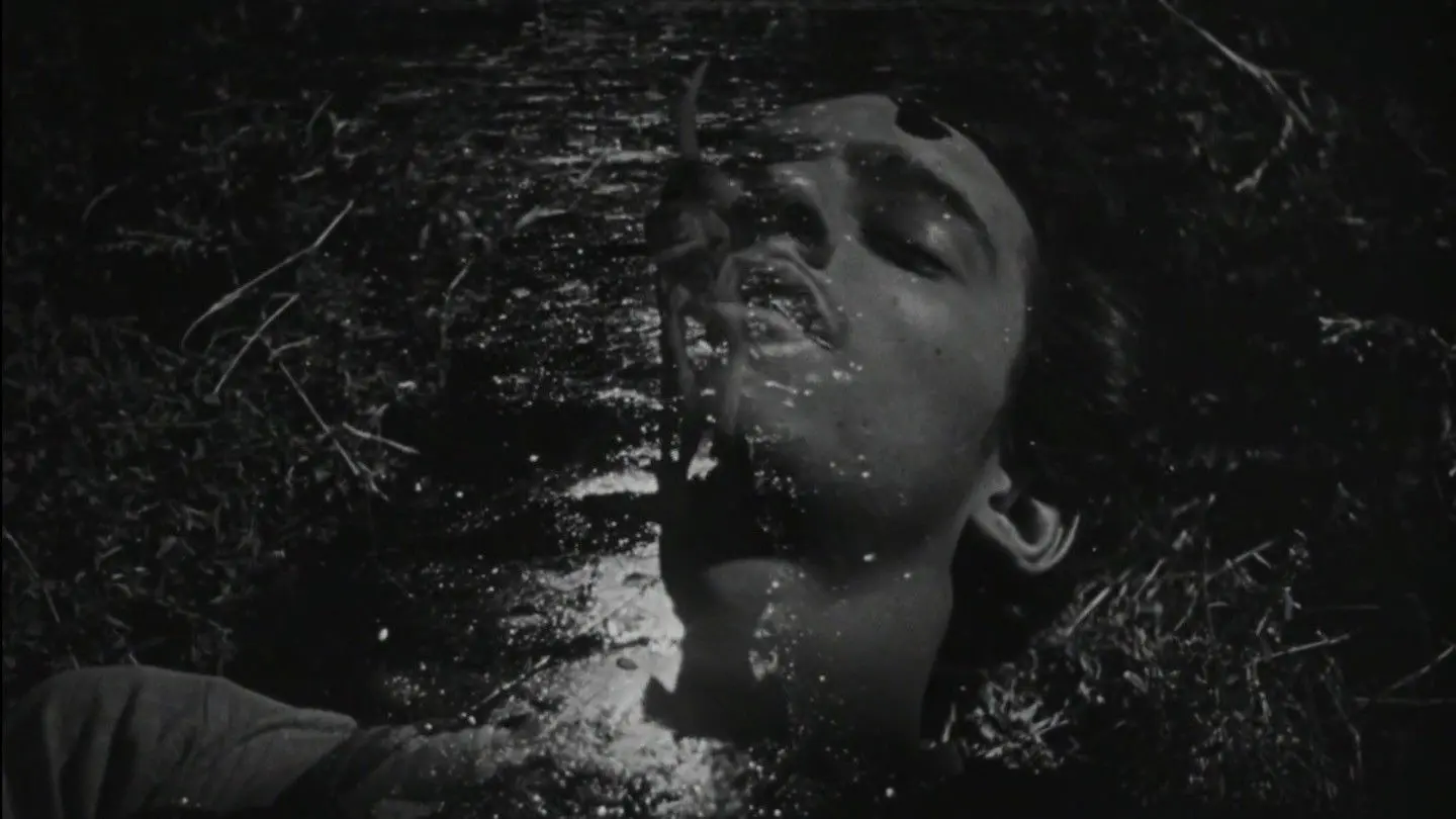 The Young and the Damned backdrop