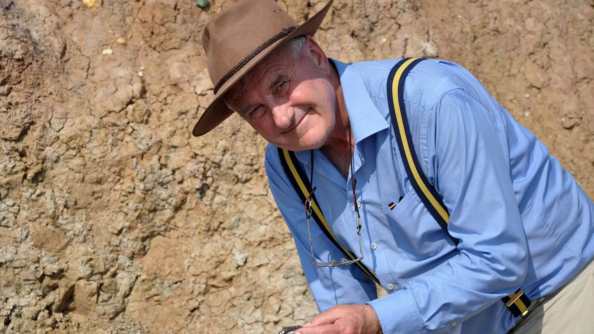 Fossil Wonderlands: Nature's Hidden Treasures backdrop