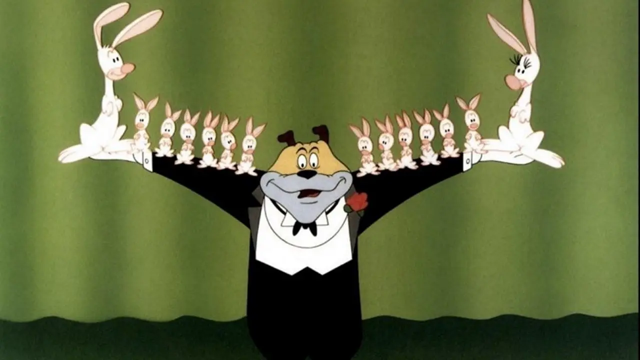 Magical Maestro backdrop