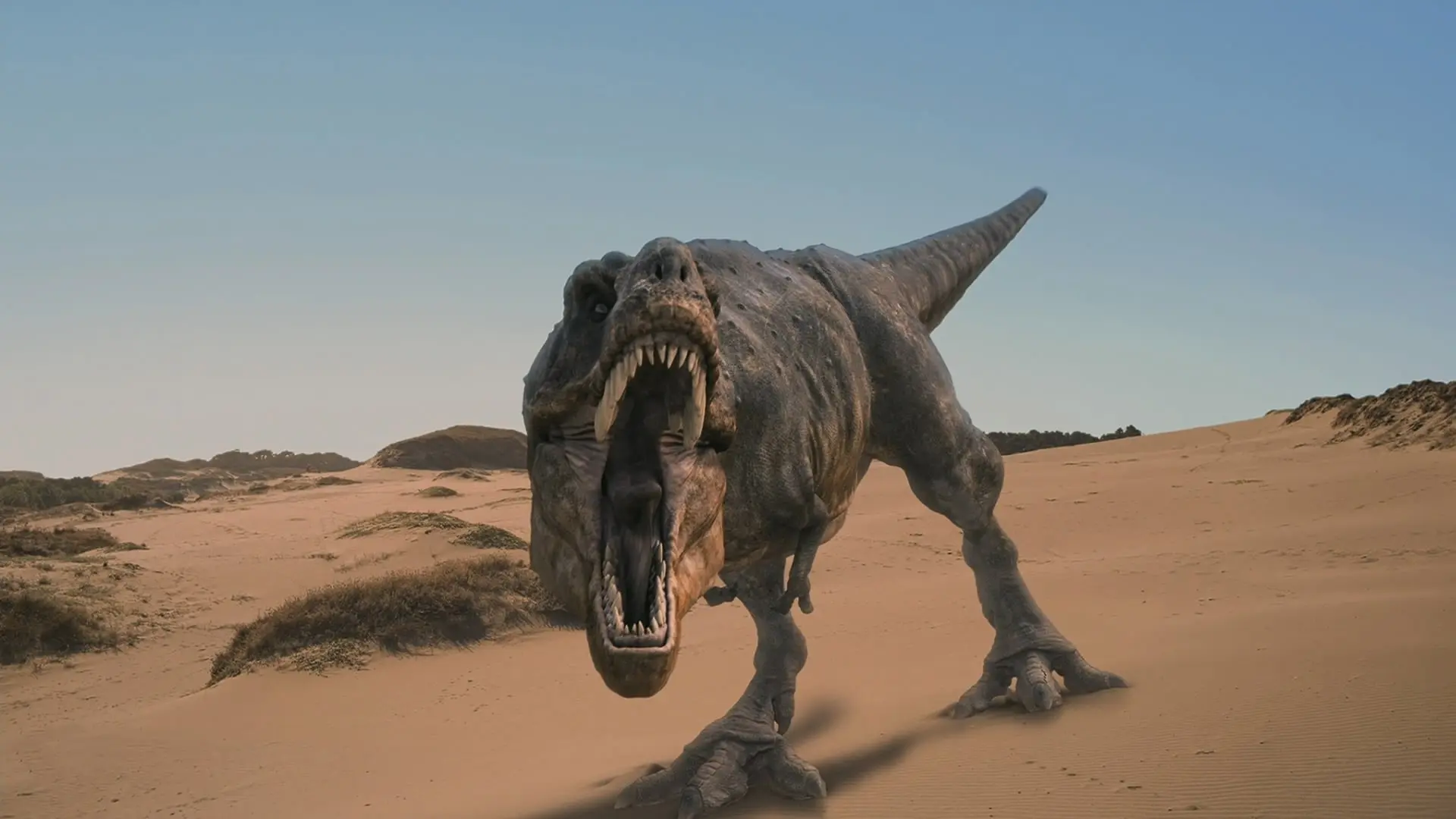 Dinosaurs Alive backdrop