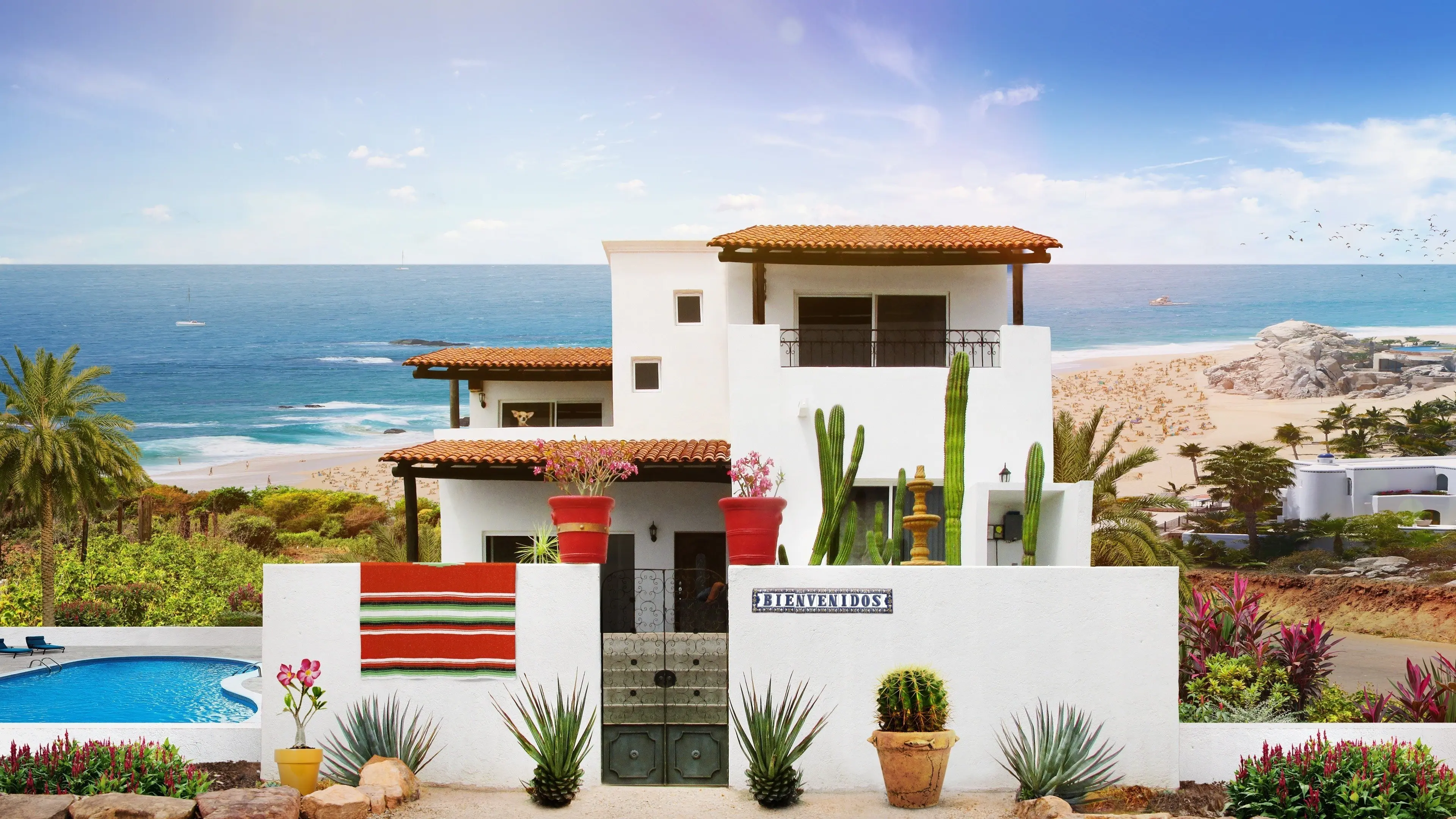 Mexico Life backdrop