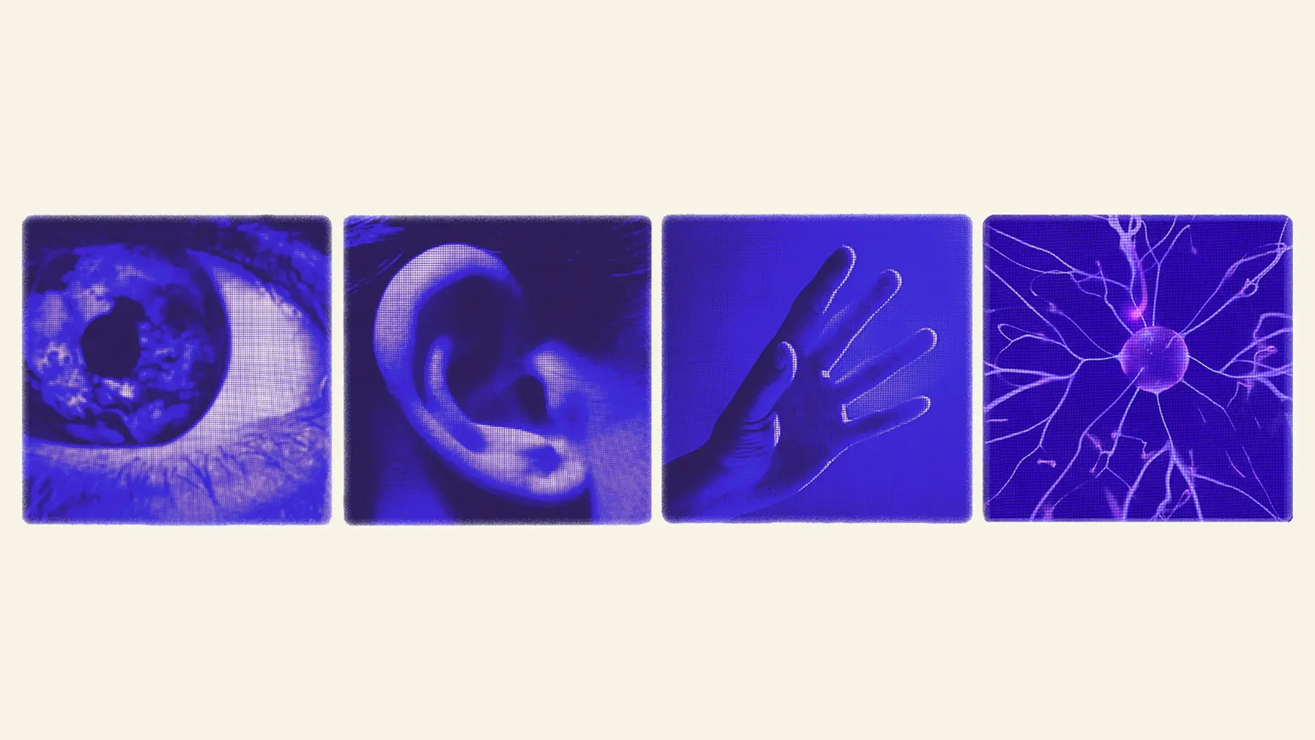 True Believers backdrop