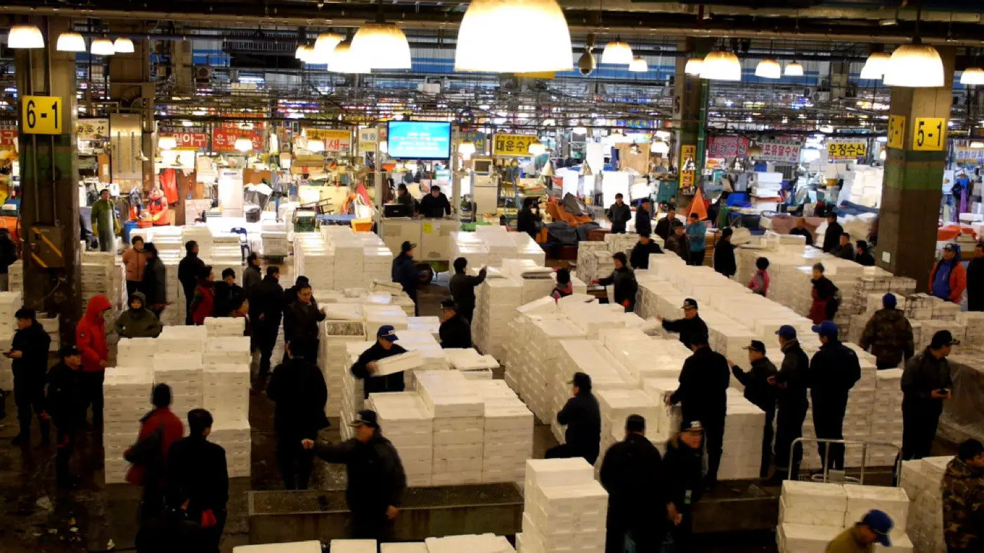 Bitter, Sweet, Seoul backdrop