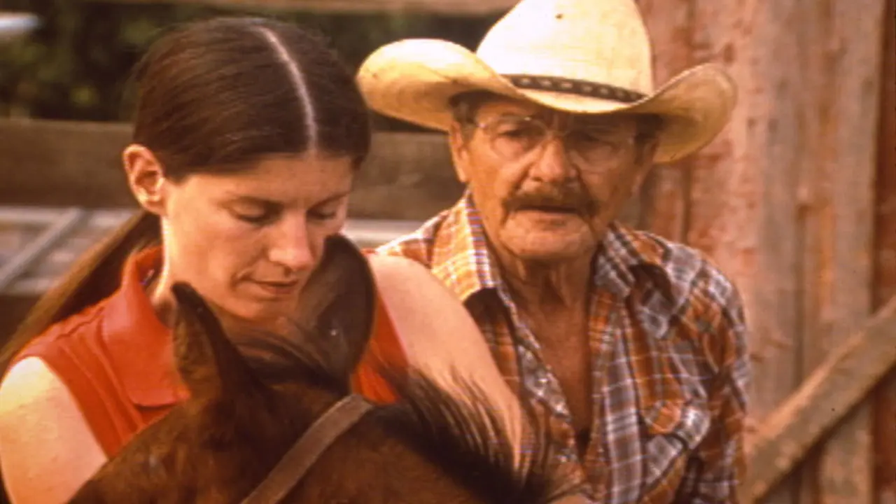 Out of Sight backdrop