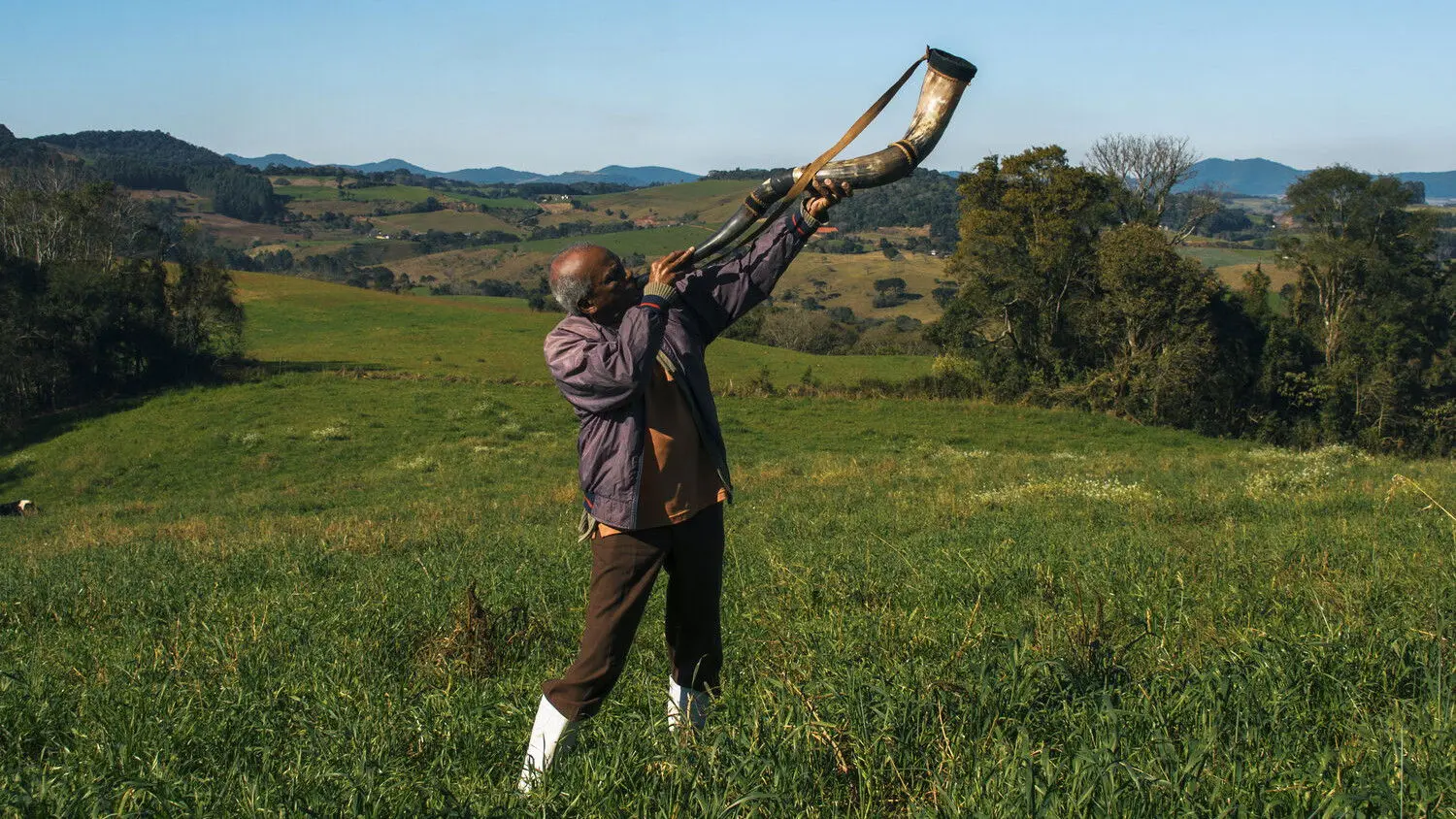 Memory House backdrop