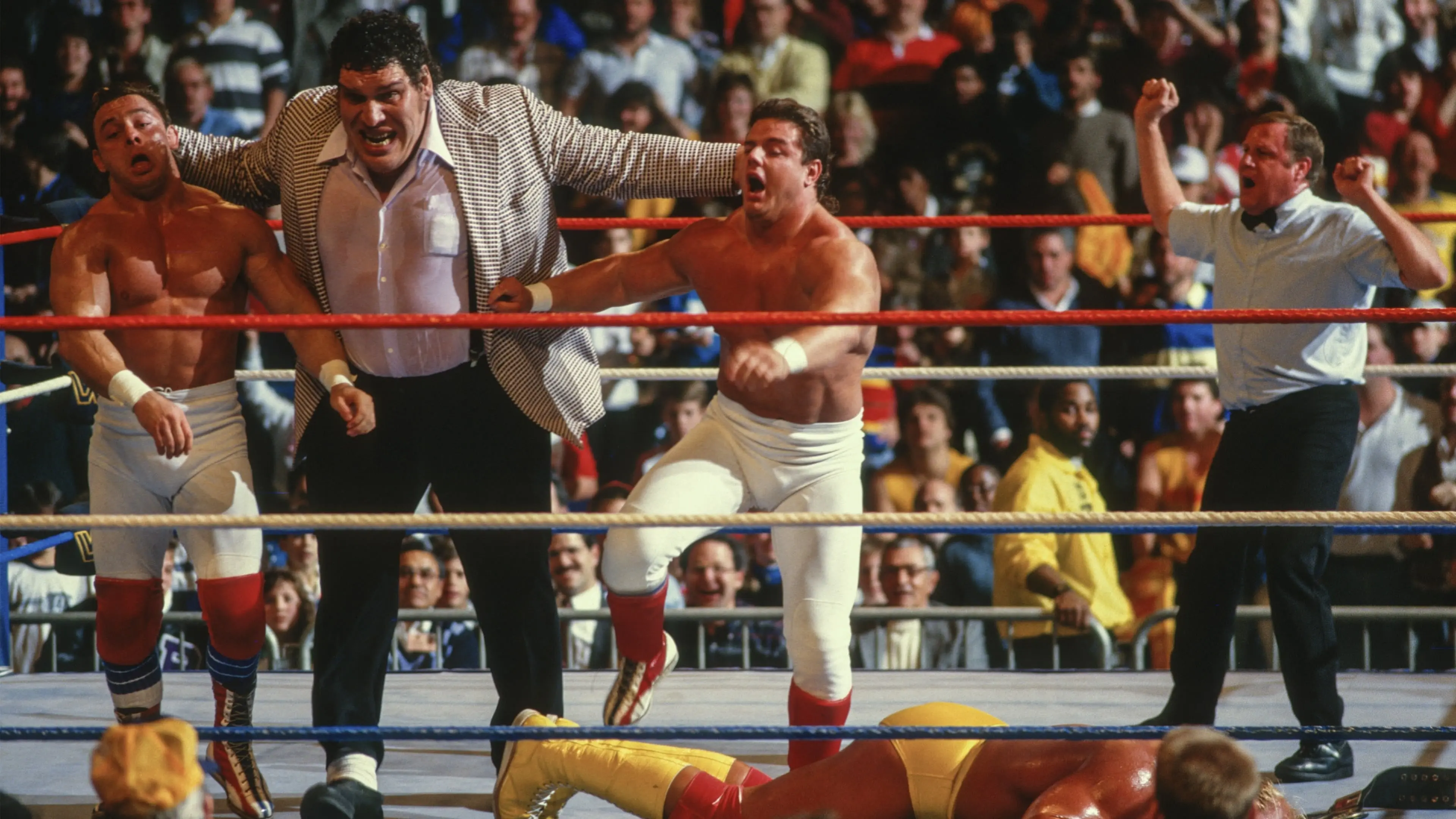 Saturday Night's Main Event backdrop