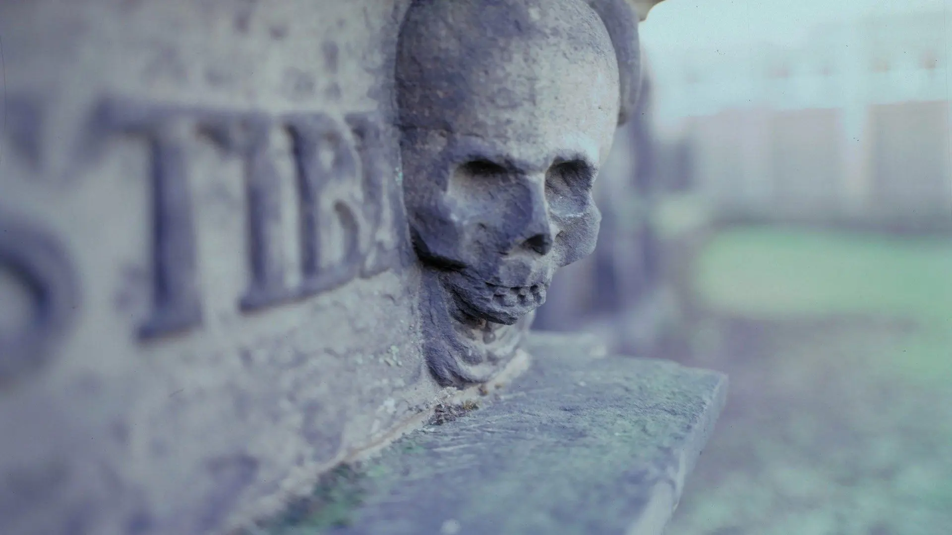 Scariest Places on Earth backdrop