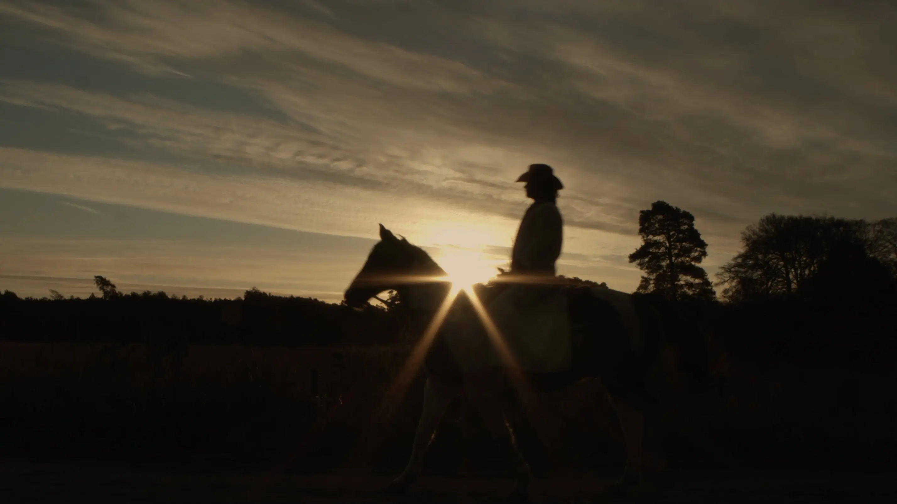 Toxteth Cowboy backdrop