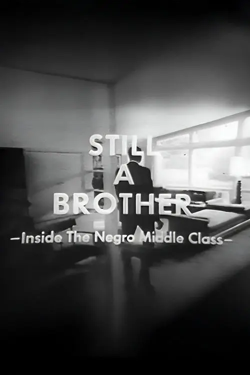 Still A Brother: Inside the Negro Middle Class
