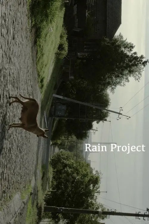 Rain Project