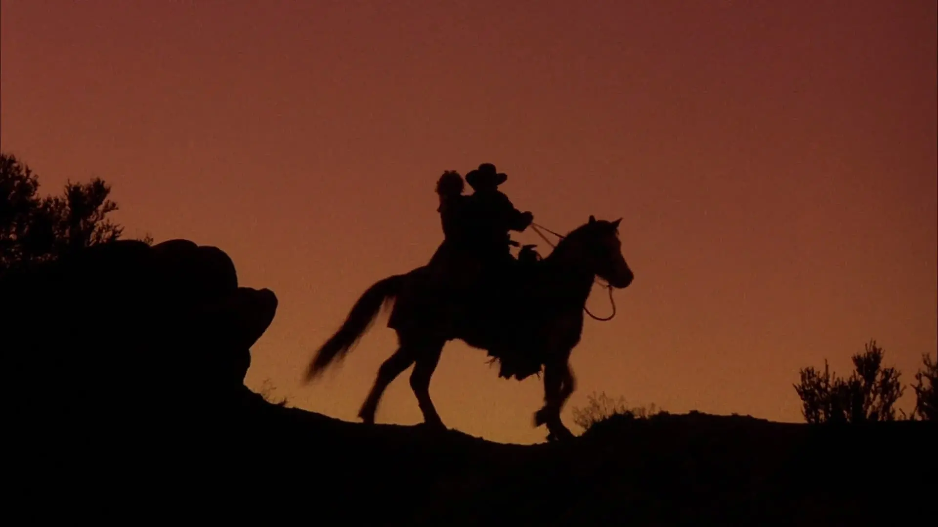 The Shooter backdrop