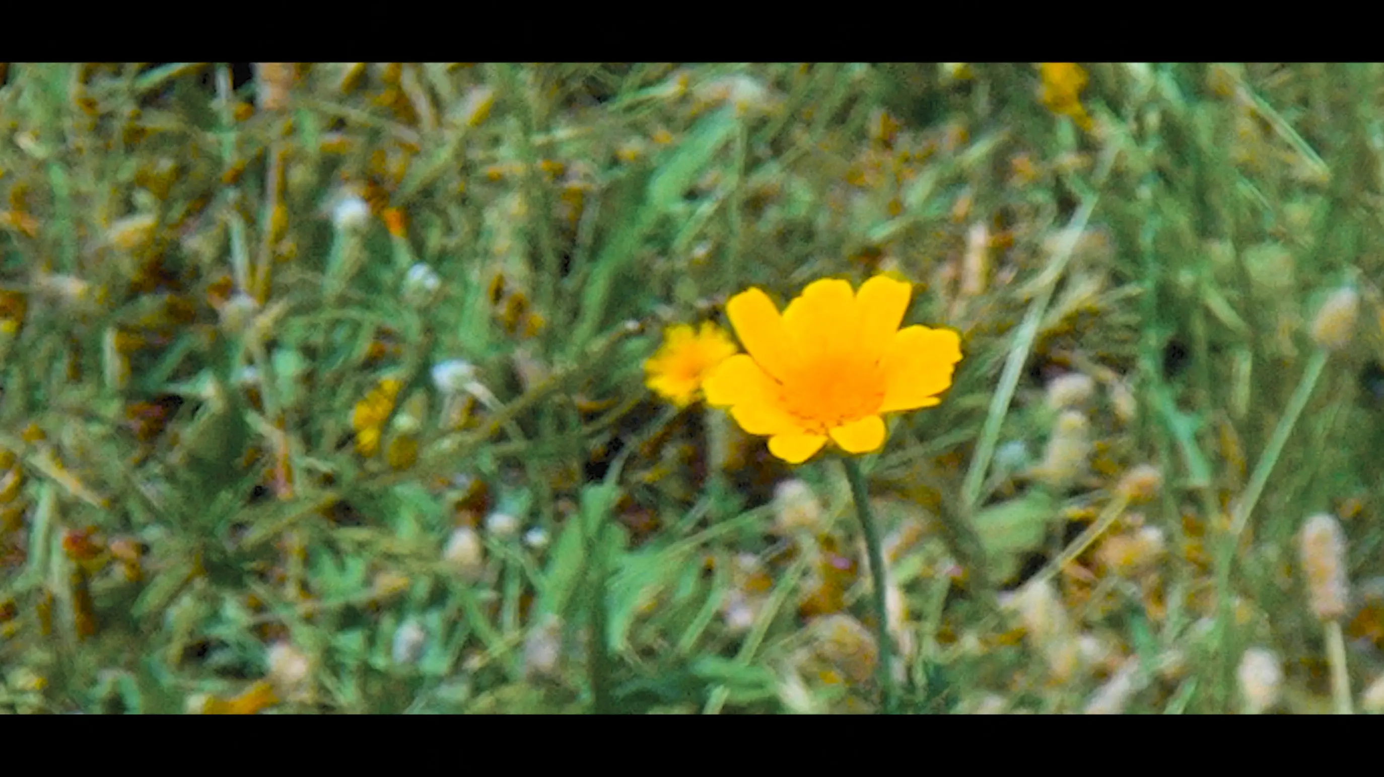 Kinetic: The Art of Oneself backdrop