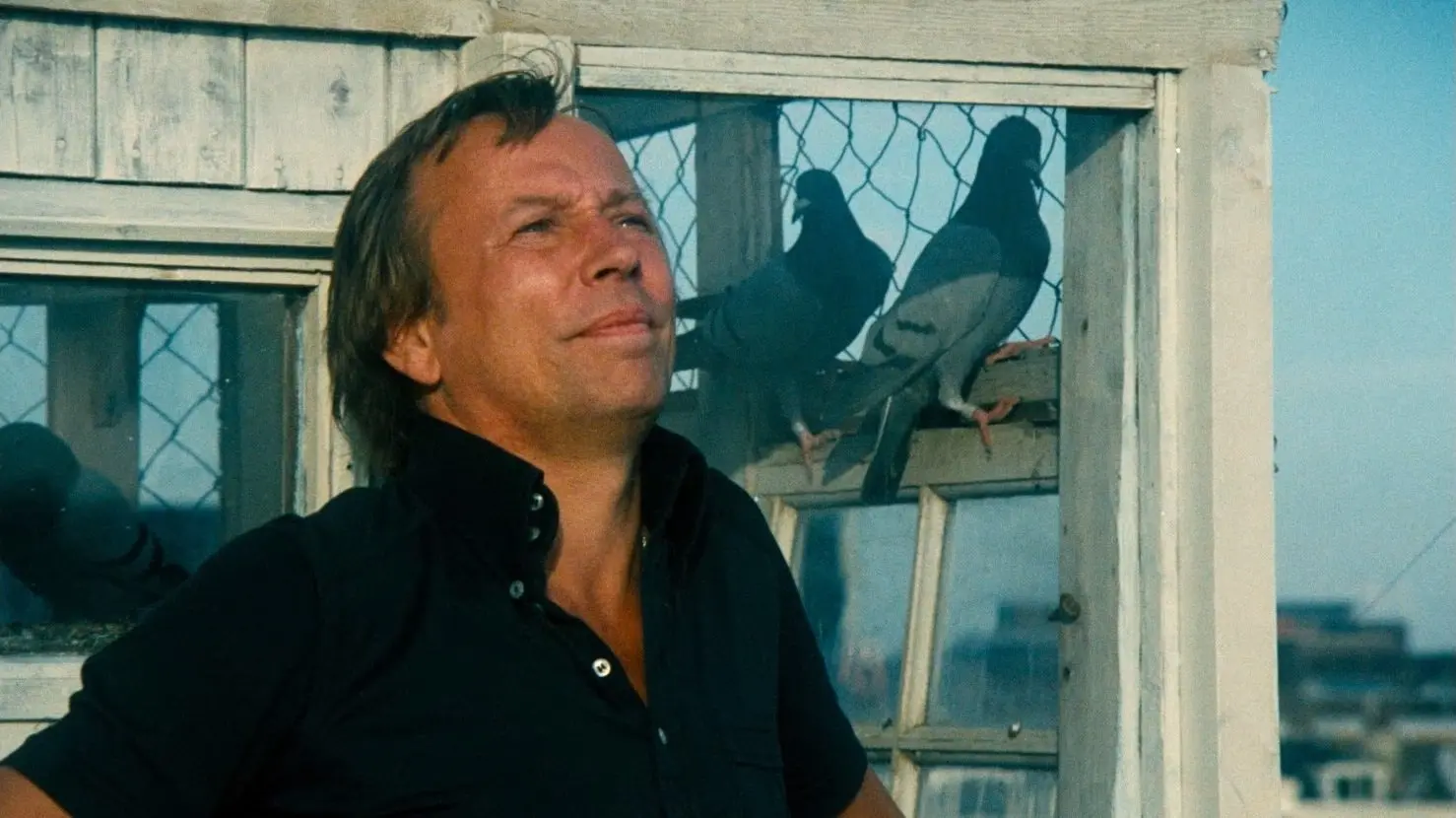 Naked Over the Fence backdrop