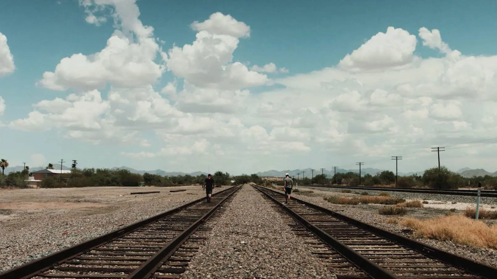 Toad to Nowhere backdrop