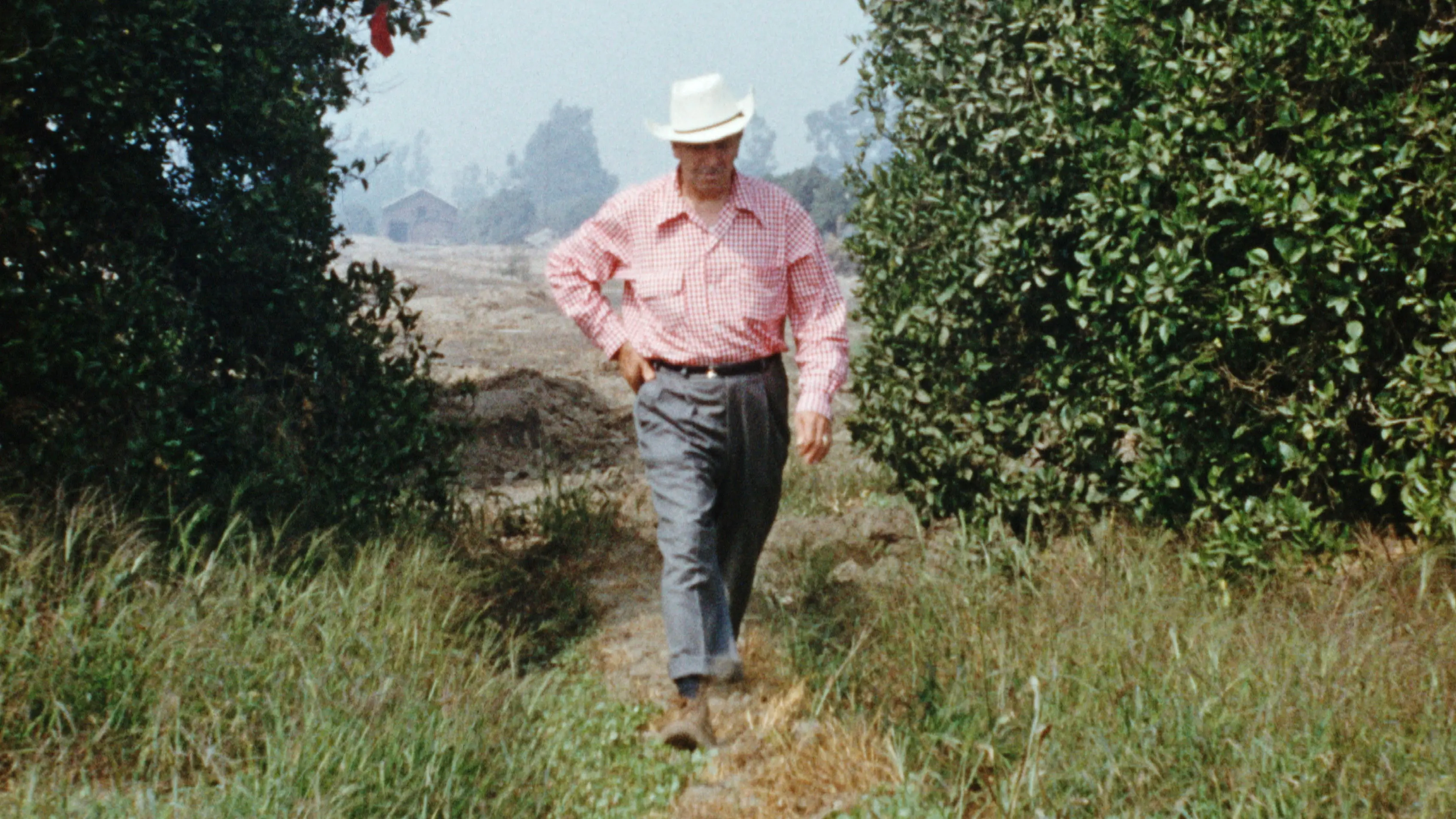 Disneyland Handcrafted backdrop