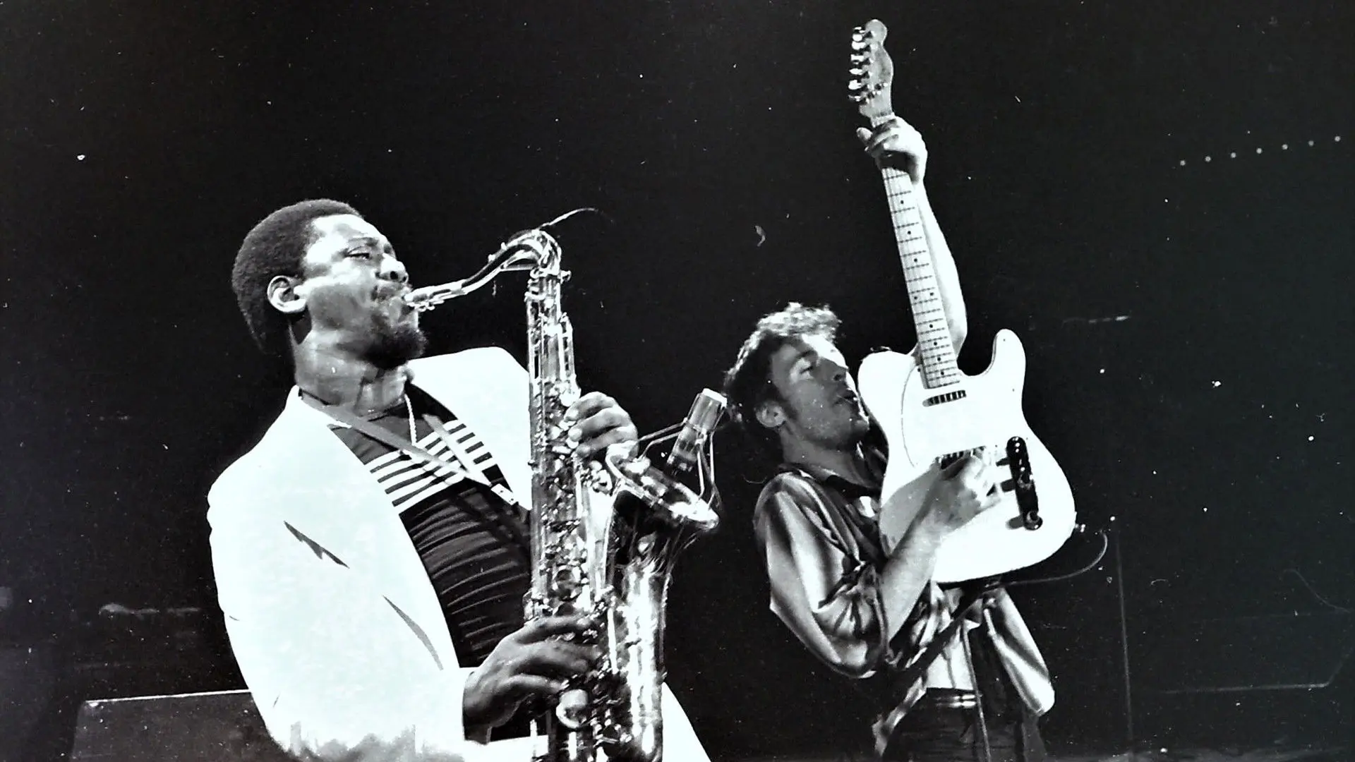 Bruce Springsteen & the E Street Band Houston '78 Bootleg: House Cut backdrop