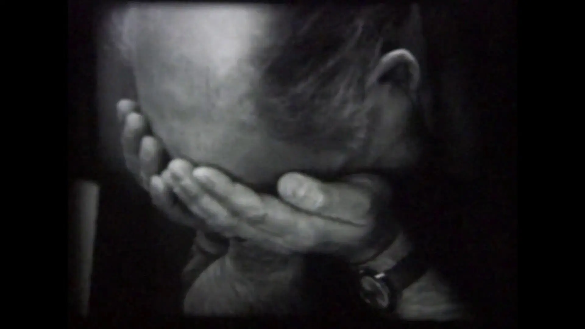 Begrijpt u nu waarom ik huil? backdrop